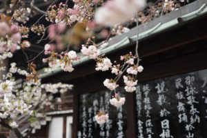 ICAIMA Massage Bien-être Japonais du visage